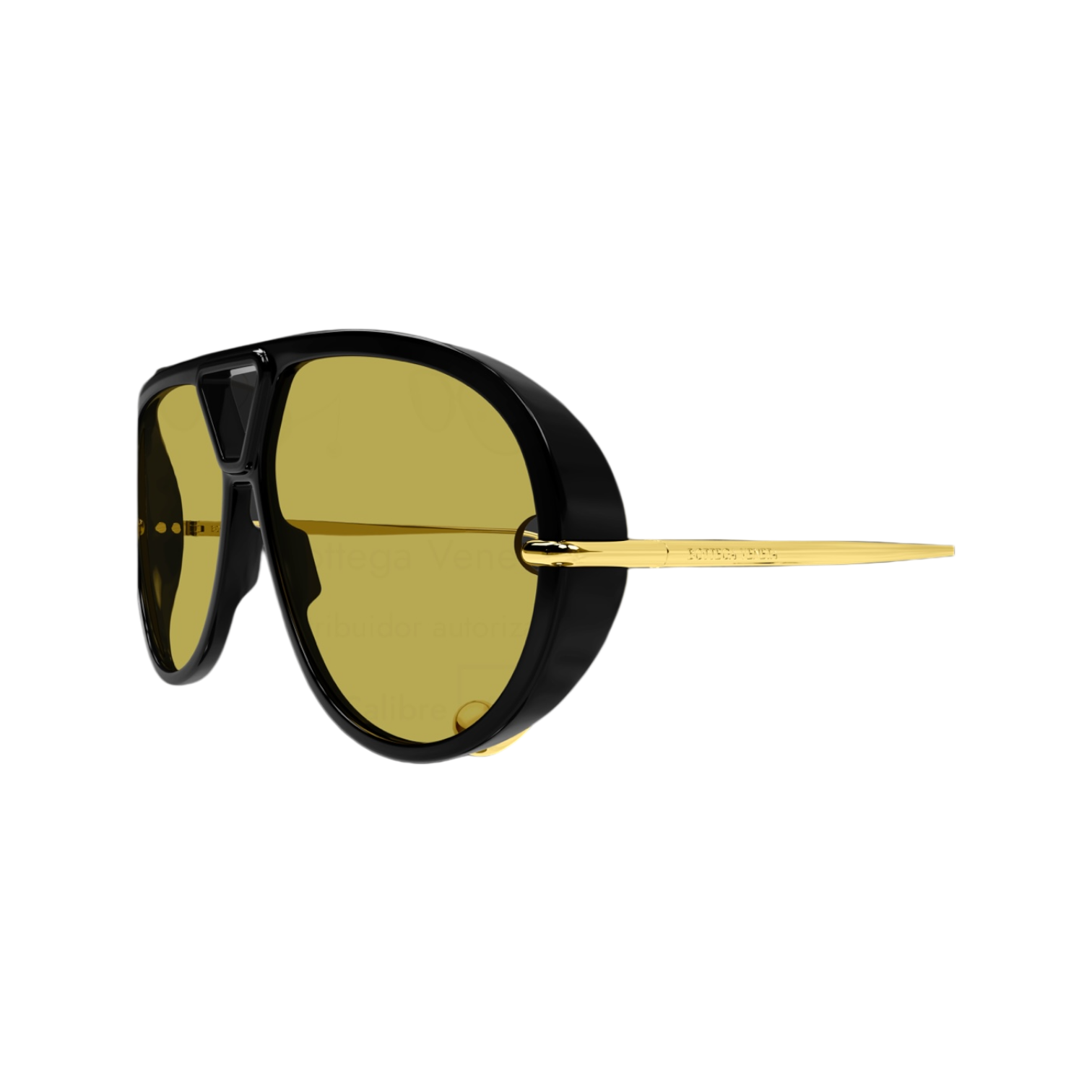 Bottega Veneta BV1273S